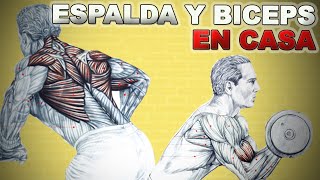 ENTRENAMIENTO ESPALDA Y BICEPS EN CASA  Con mancuerna y gomas [upl. by Neurath]