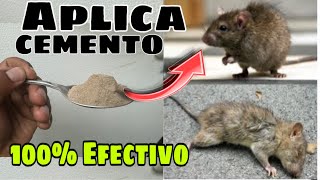 COMO Eliminar RATAS y RATONES de Manera Permanente [upl. by Odnalra]