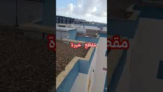 AADL 2000 logts Sidi Abdellah Maktaa Khiera موقع سيدي عبد الله مقطع Q25 خيرة aadl [upl. by Paolina]