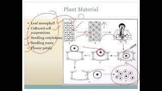 Protoplast Culture by Prof Sonali Saste [upl. by Ezri561]