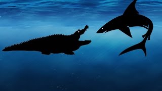 Great White Shark Vs Saltwater Crocodile Pivot [upl. by Muhan]