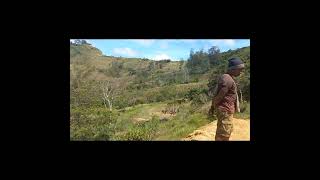 Building reinforcement using local materials to hold ponds dykes firm chuave Elimbari Simbu [upl. by Seroka]