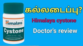 himalaya cystone tablet in Tamil uses reviews benefits ingredients dosage amp side effects price [upl. by Diane-Marie273]