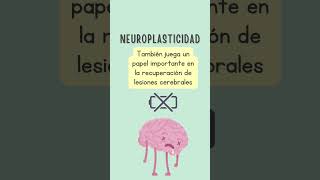 Autismo y Neuroplasticidad hablemosdeautismo [upl. by Atworth]