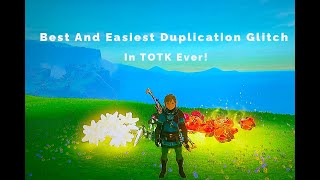 Most Simple and Best Duplication Glitch in TOTK [upl. by Tebor]