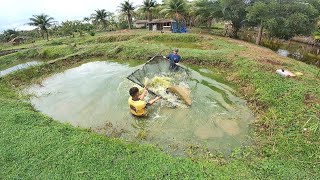 PASSANDO O PENEIRÃO NO TANQUE DE PEIXE GIGANTES [upl. by Ainafets858]