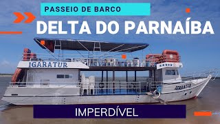 Delta do Parnaíba  Passeio de barco  O que fazer no Piauí [upl. by Koslo289]