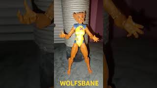 Wolfsbanequot marvel hasbro marvellegends xmen wolfsbane marvelfigures actionfigure [upl. by Arriec]