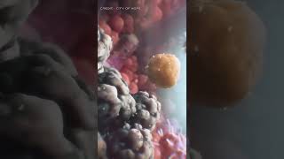 Cancer cell se tcell kaise prevent kare 3d modal information trending youtubeshorts shortsindia [upl. by Arianna]