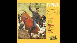 Parquet Courts  Borrowed Time [upl. by Yuji]