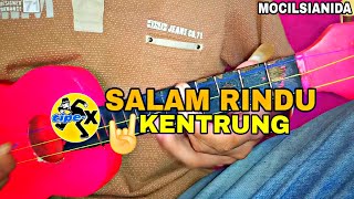 TIPEX SALAM RINDU COVER KENTRUNG BY MOCILSIANIDA [upl. by Eicak819]