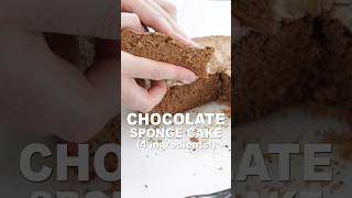 Chocolate Sponge Cake only 4 ingredients [upl. by Jillene433]