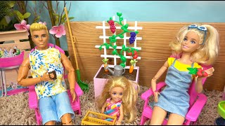 Barbie and Ken at Barbie Dream House Barbie New Garden w Sister Chelsea [upl. by Mauceri438]