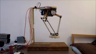 DIY Delta Robot using stepper motors  1st Demonstrator [upl. by Nuahc354]