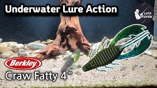 BassFishing Berkley 9 CrawFatty 4quot  Underwater Lure Action [upl. by Nogaem929]