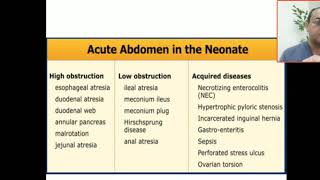 Causes of acute abdomen in neonates congenital intestinal obstruction acquired intestinal obstruct [upl. by Wohlen147]