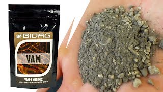 BioAG VAM Best Mycorrhizae Best Growing  Best Mycorrhizal Inoculation for Gardens Fungi in Garden [upl. by Amadus]