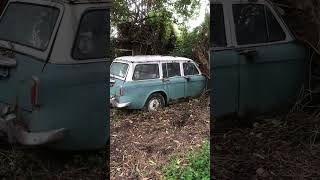 Hillman minx wagon rescue from backyard rustycarsdownunder9508 [upl. by Casaleggio512]