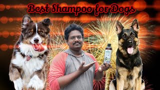 Best dog Shampoo review  best Shampoo for smooth coated dogs  best shampoo for long coated dogs [upl. by Enajiram]