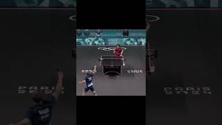 Table Tennis best point paris2024 alexislebrun tabletennis pingpong worldtabletennis wtt ittf [upl. by Ahsart]