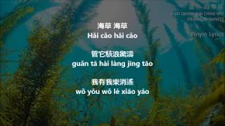 Xiao Xuan  Hai Chao Wu Pinyin Lyrics 蕭全海草舞 [upl. by Aivitnahs]