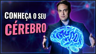 Neurociência As Estruturas e Funções do Cérebro Humano [upl. by Dorthea]