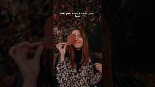 Shape of You  Ed Sheeran lyrics English songs LyricFlow [upl. by Rutra]