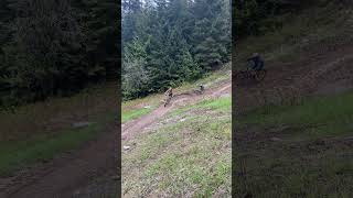 Lower Whistler Downhill  Bike Park 2024 mtb whistlerbikepark [upl. by Nedry604]