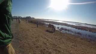 Mountain Biking w Fat Bikes On Assateague Island [upl. by Oflunra680]