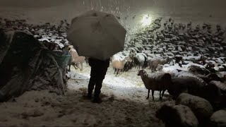 GECE YAĞAN KAR HER YERİ BEYAZA BÜRÜDÜ SOĞUK VE KAR [upl. by Aidan]