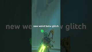 new botw glitch [upl. by Steel421]