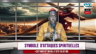 REVES  SYMBOLES DATTAQUES SPIRITUELLES Part 2 [upl. by Ehcsrop914]