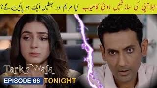 Tark e Wafa Episode 66  11 September 2024  ARY Digital Drama tarkewafa [upl. by Millicent]