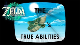 The Wings True Abilities  The Legend of Zelda Tears of the Kingdom [upl. by Herahab712]