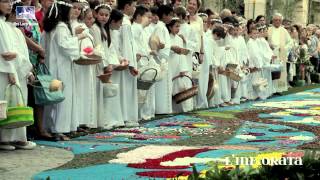 Infiorata 2015 Noale Docufilm [upl. by Narhem]