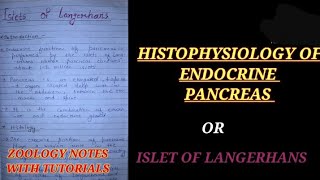 HISTOPHYSIOLOGY OF ENDOCRINE PANCREAS IN HINDI ISLET OF LANGERHANS zoologynotes insulin vbu [upl. by Straus758]