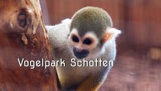 Vogelpark Schotten  Vogelsberg [upl. by Reginnej411]