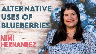 Herbalist Mimi Hernandezs Alternative Uses for Blueberries [upl. by Anina]