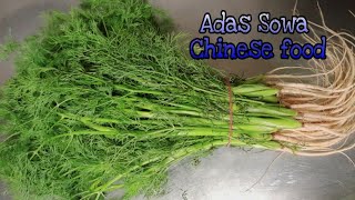 MEMASAK SAYUR ADAS SOWA Daun Dill  Anethum Graveolens [upl. by Adnamra]