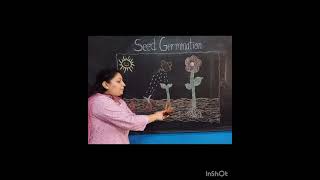 Seed Germination Activity [upl. by Sharai]