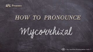 How to Pronounce Mycorrhizal Real Life Examples [upl. by Eseilanna]