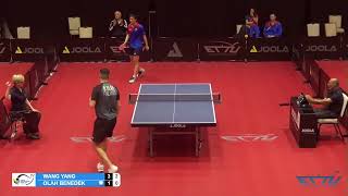 Benedek Olah vs Wang Yang 2024 Olympic Qualification [upl. by Zebaj694]