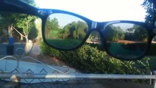 Enchroma glasses the real review part 2 [upl. by Xonnel]