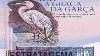 ESTRATAGEMA DE DEUS  A GRAÇA DA GARÇA  A GRAÇA DA GARÇA [upl. by Niawd]