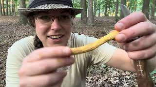 Bolete mushroom ID tips Edible shaggystalked boletes and bitter ornatestemmed boletes [upl. by Anul]