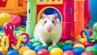 The Best Hamster Challenges 😱  Hamster Prison Maze Escape🛑Live Stream 12 [upl. by Anyt308]