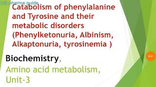 catabolism of phenylalanine and tyrosine and their metabolic disorders [upl. by Ayotac]