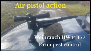 Farm pest control Weihrauch HW44 177 weihrauch weihrauchhw44 hw44 weihrauchairgun [upl. by Annaeoj]