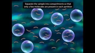 Digital PCR explained in 2 minutesmust watch [upl. by Magnus]