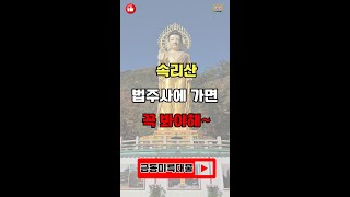 보은 속리산 법주사 금동미륵대불대한미국최대 청동 불상 33m 108척 마애여래의상바위에 새겨진 여래좌상  차차농원 재향농부 인공지능강사최재향 보은가볼만한곳 [upl. by Cyb604]